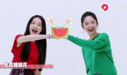 吃瓜爆料女装视频大全免费观看,女装视频大全，揭秘时尚潮流盛宴